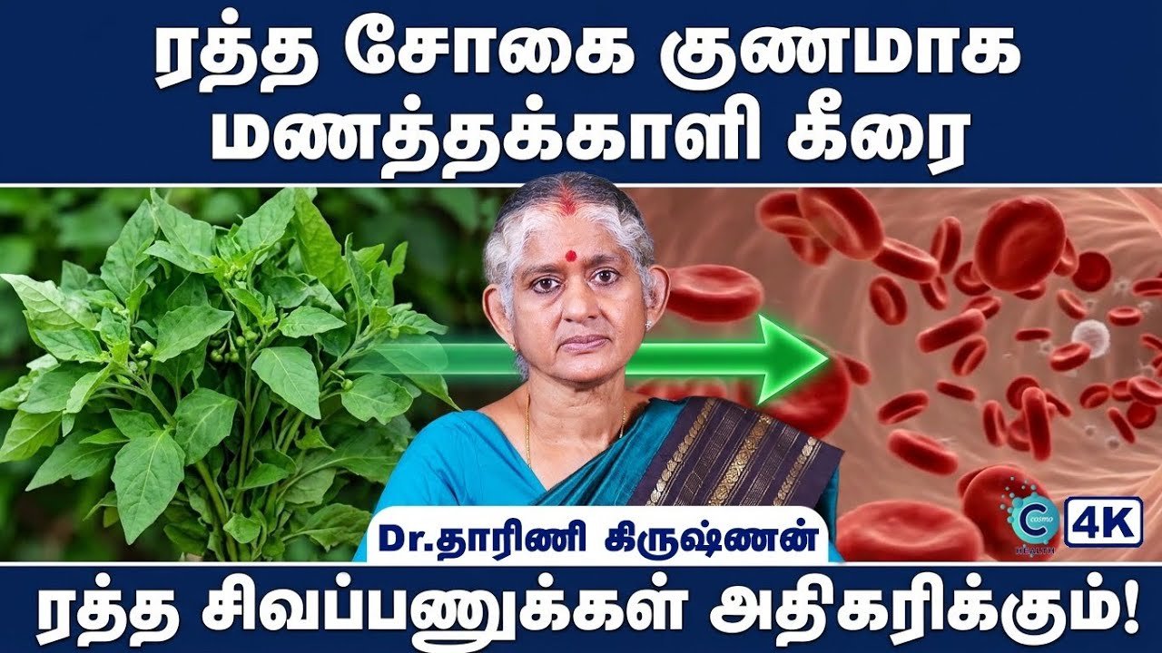 மறைக்கப்பட்ட ரகசியம்: மனத்தக்காளி கீரை முதல் நவீன மருத்துவம் வரை – இரத்த சோகைக்கு ஒரு முழுமையான தீர்வு!